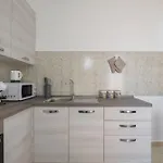 Edo