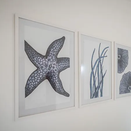 Edo ムラヴェーラ